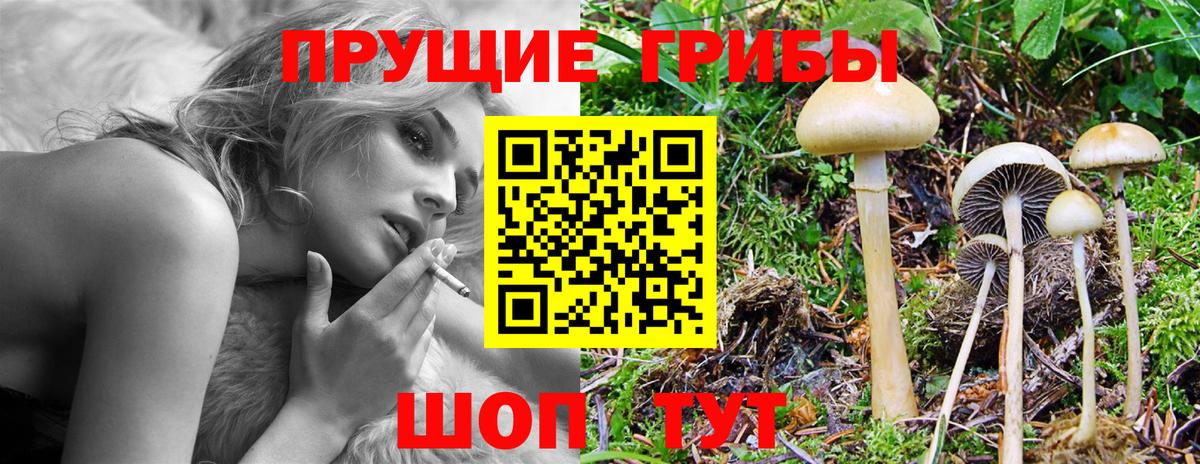 Галлюциногенные грибы мицелий Буйнакск
