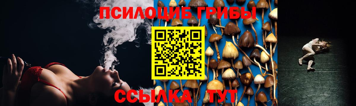 Псилоцибиновые грибы Cubensis  Галлюциногенные грибы мицелий  Буйнакск  Вход с VPN 